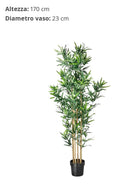 Pianta artificiale Bambù 170 cm