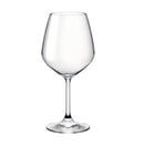 Calice Vino