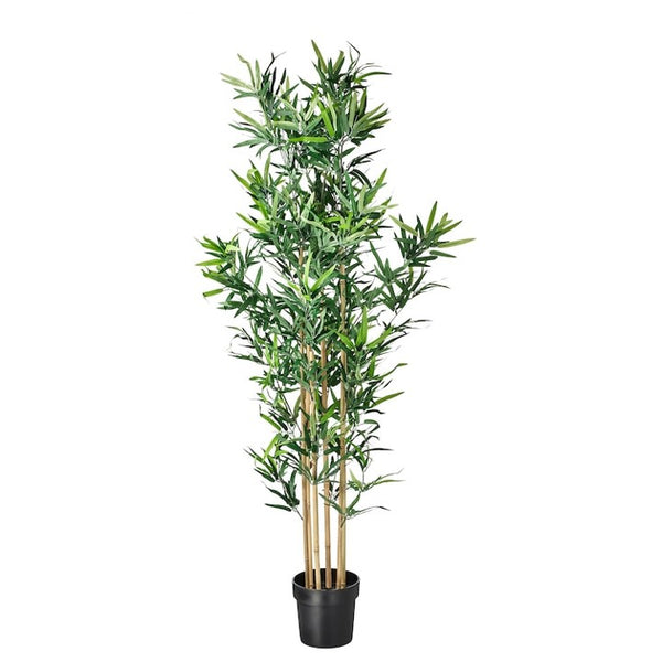 Pianta artificiale Bambù 170 cm
