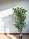 Pianta Artificiale Ficus h. 170 cm
