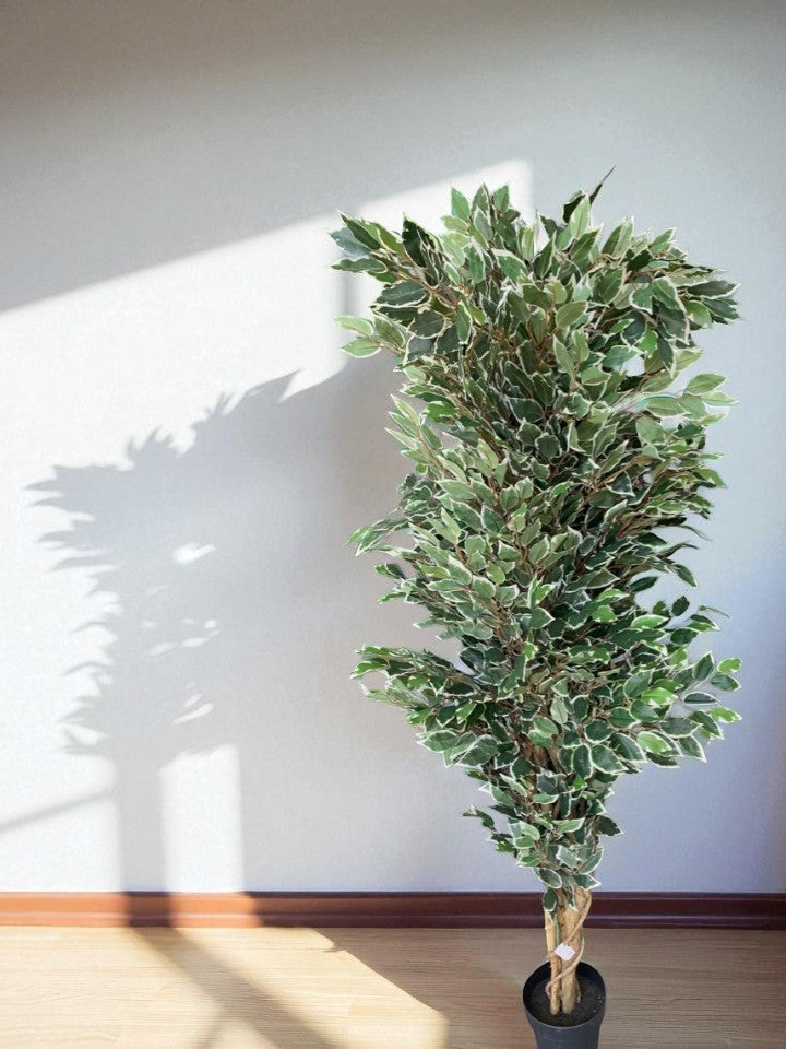 Pianta Artificiale Ficus h. 170 cm