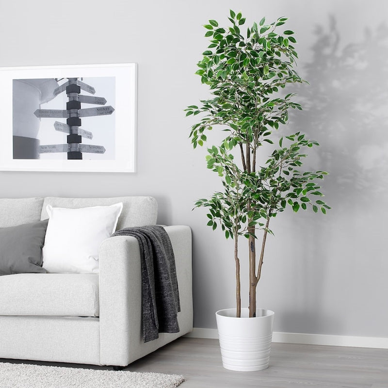 Pianta Artificiale Ficus h. 170 cm