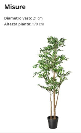 Pianta Artificiale Ficus h. 170 cm